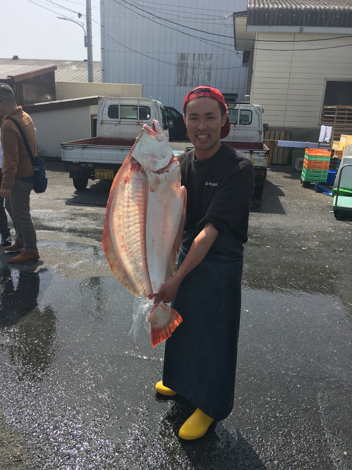 3代目の目利きとホスピタリティが光る、「やなぎ水産」の鮮魚セット