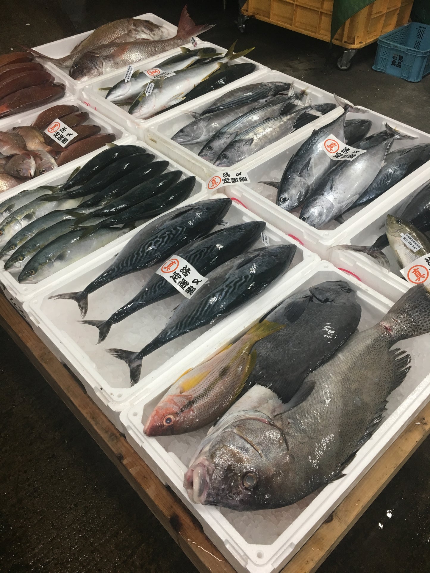 3代目の目利きとホスピタリティが光る、「やなぎ水産」の鮮魚セット