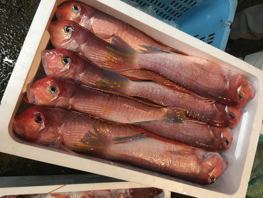 3代目の目利きとホスピタリティが光る、「やなぎ水産」の鮮魚セット