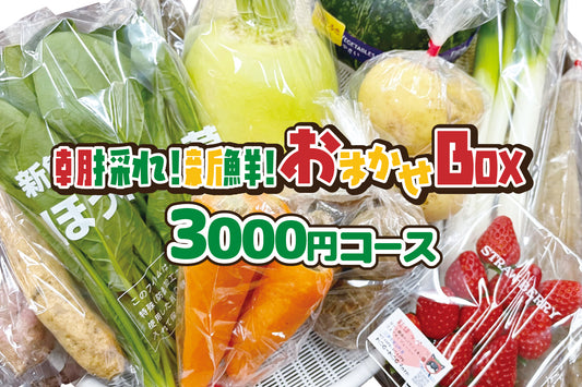 朝どれ！新鮮！お任せ野菜BOＸ3000円コース